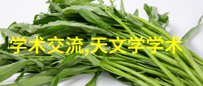 公司是如何利用现代信息技术加强内部管理提高生产效率和优化供应链管理