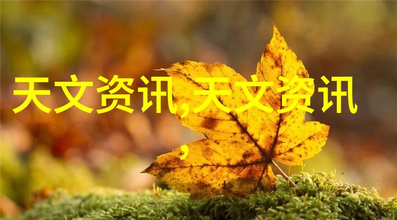 常青金苑小区厨房隔断新亮相