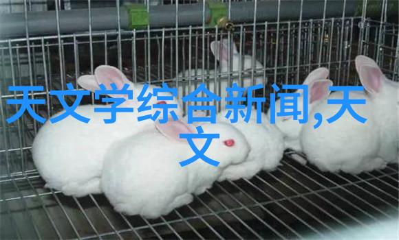 油水分离器内部结构图解析揭秘净化系统的关键组成要素