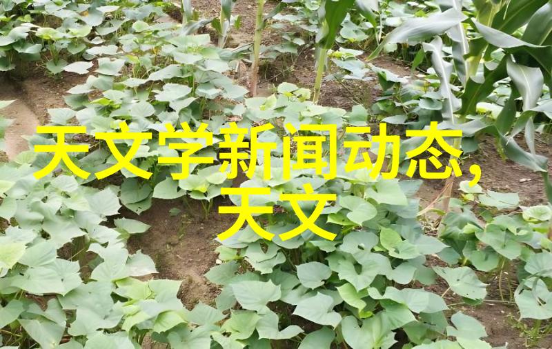 中国自主可控关键技术在智能交叉路口系统中的作用