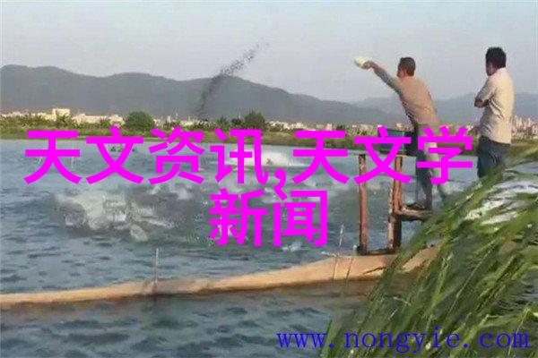 防水涂料个体户水电安装经营范围之冠十佳防水秘籍让你的墙面不再怕雨