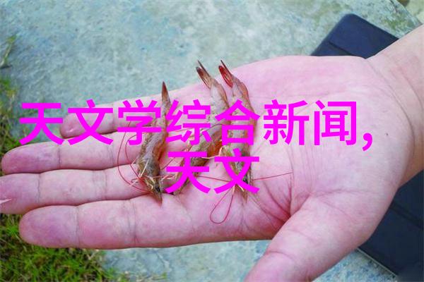 PE管材市场动态110mm尺寸价格走势分析
