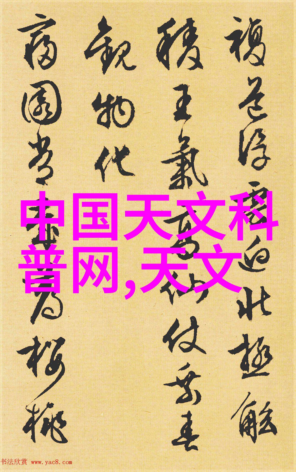 滚筒输送设备物流效率的推动者与创新之选