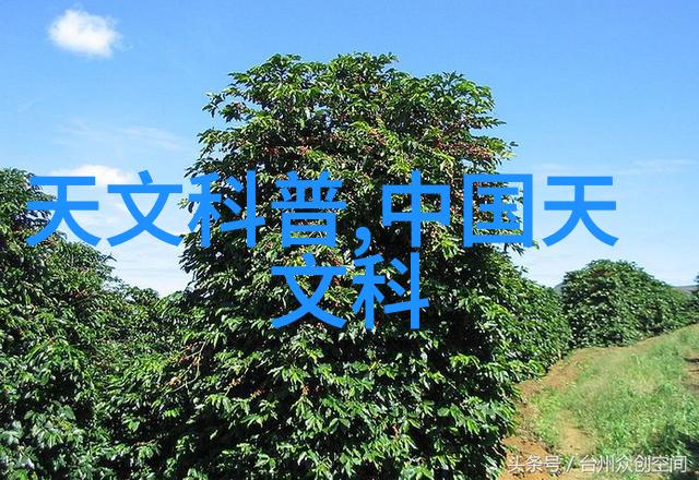 长春财经学院与其他高校在教学资源配置上有哪些差异