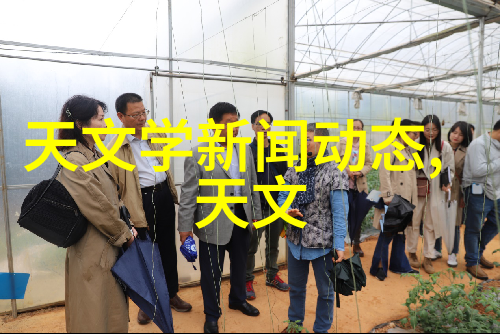 室内装修材料名称大全-家居美学探索最全的室内装修材料大典