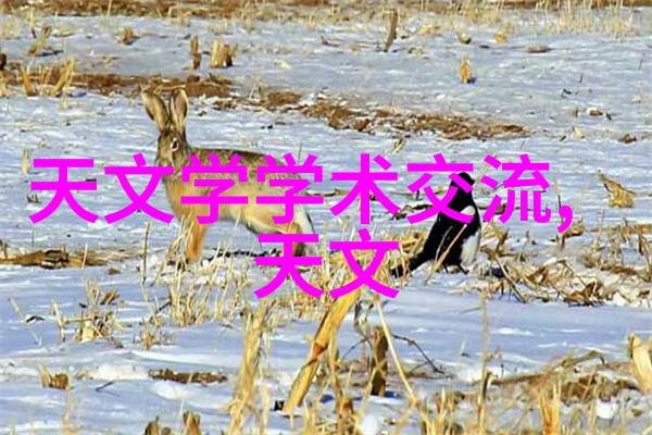 客厅简单大气装修风格-温馨宜人的家居空间设计