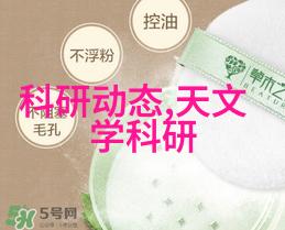 1吨燃气蒸汽发生器-节能环保与多用途的应用探讨