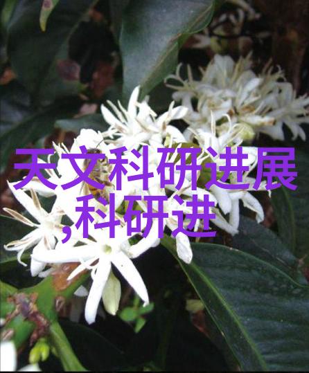纯净水设备维修技术研究与实践