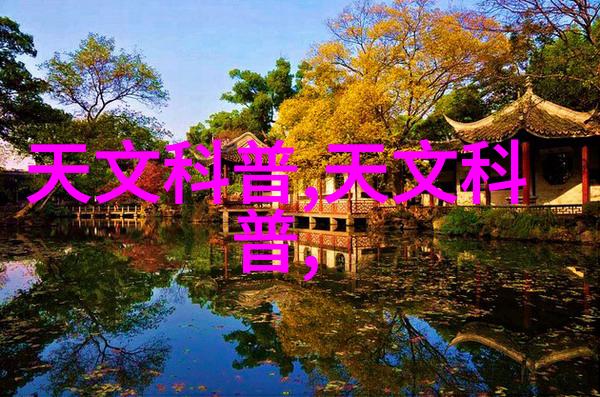 中国计算机职业技术资格网 - 网络智库探索中国计算机职业技术资格网的发展与影响