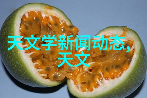 板式蒸发器技术与应用概述从原理到实践的全方位解析
