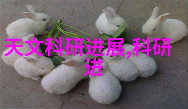 油气分离器安装示意图的详细步骤与注意事项