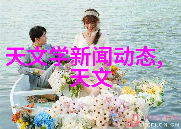 预备费的谜团揭开背后的账本密码