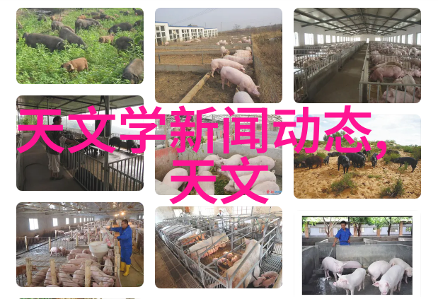 织梦波纹填料的精致舞蹈