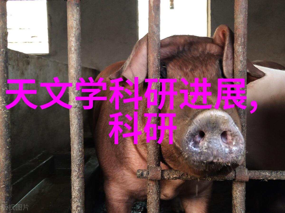 机器心脏的裂缝粉碎设备背后的秘密