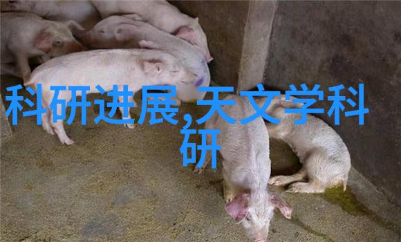 温馨夫妻互动如何和谐地与伴侣交流
