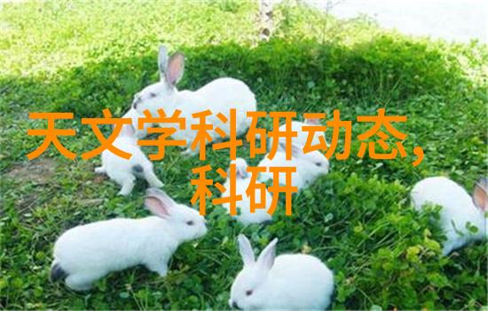 KTV装修设计创意空间的音响与视觉和谐