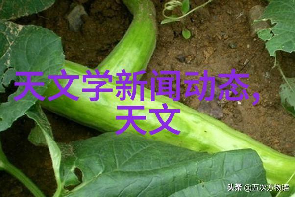 互联网巨头再次调整算法影响内容推荐系统的变化如何