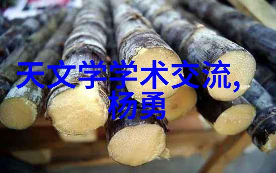 虚拟试验软件在固定层化学工程中的一致性验证
