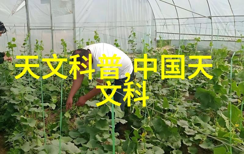 传统与创新相结合如何通过水质检测笔提高饮用水安全性