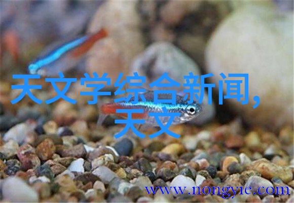 如何利用家庭装修设计效果图提升居住品质