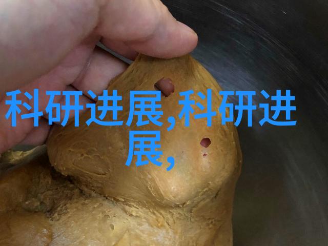 火焰中的秘密垃圾焚烧炉生产厂家背后的谜团
