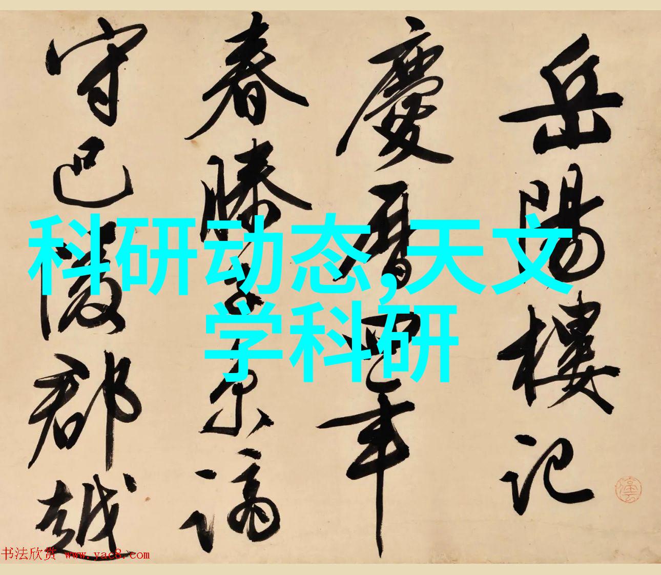 不锈钢矩鞍环填料标准-精密制造与材料选择探究不锈钢矩鞍环的填料标准
