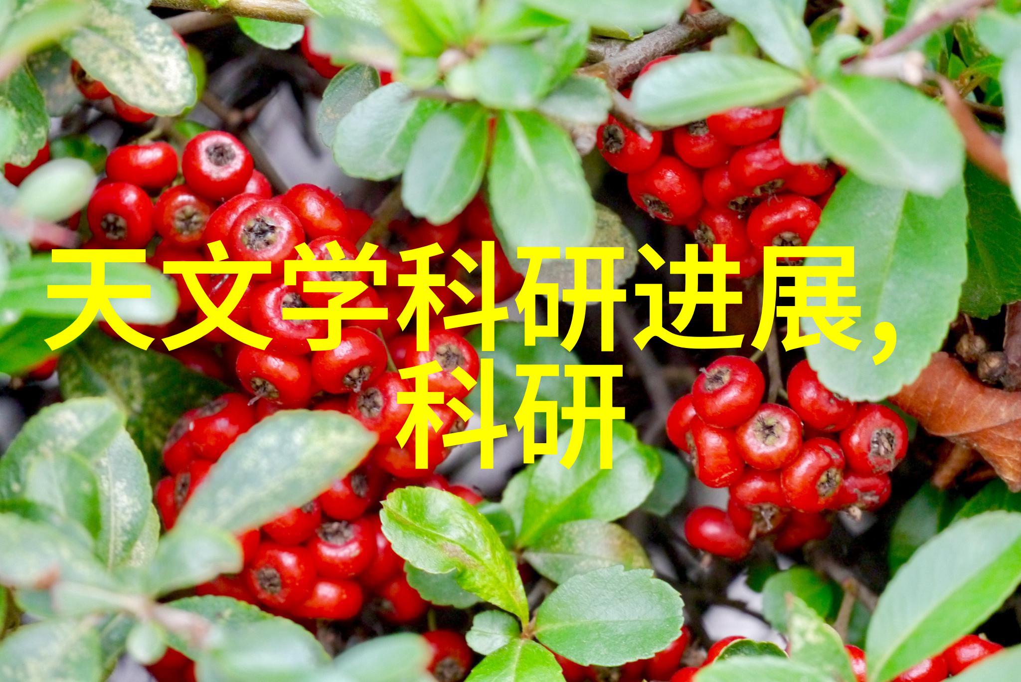 芯片设计师的职业生涯一路风雨一辈子挑战