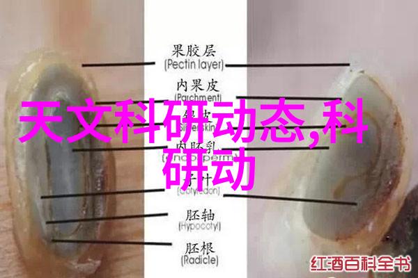 大型微波干燥设备高效食品烘干技术