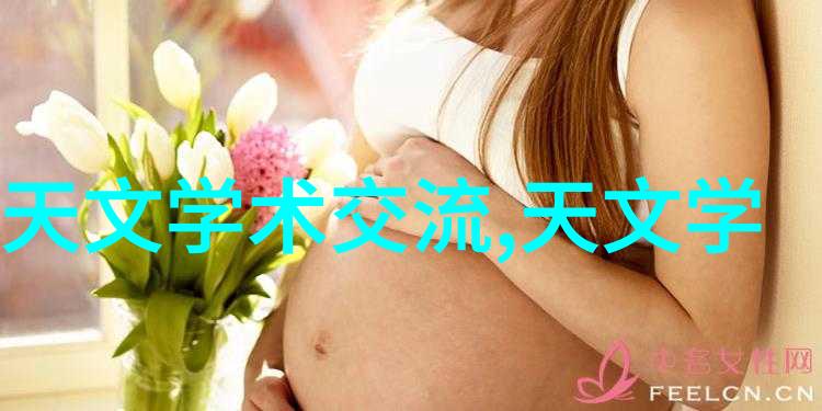 创意翻新揭秘最便宜的工业风装修技巧与材料选择