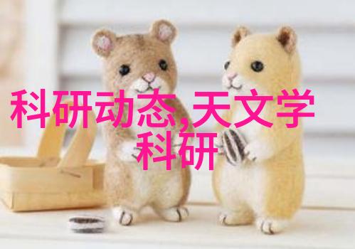 晓星孤屿探险发现晓星孤屿的神秘与美丽