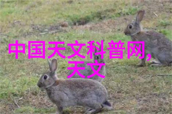 水利工程师守护水资源的未来探索水利类专业就业方向及前景