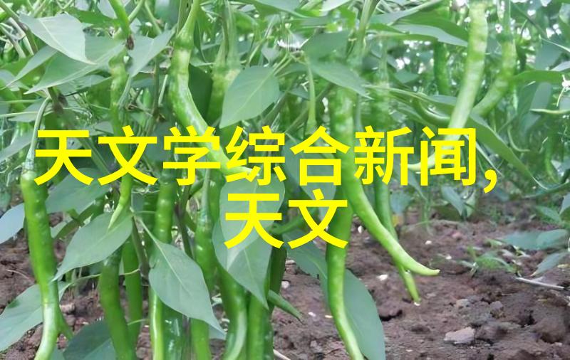 建筑材料的新选择多孔砖的应用与未来发展