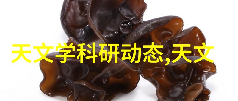 塔式设备的吸收奥秘揭开其运作机理的神秘面纱