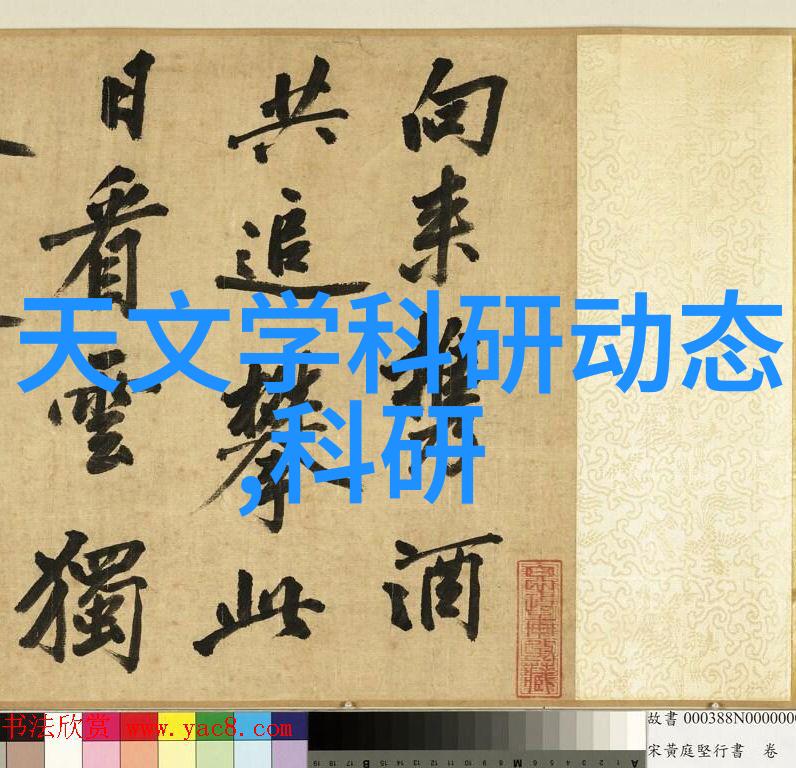 北森人力资源测评系统精准引领员工成长路径