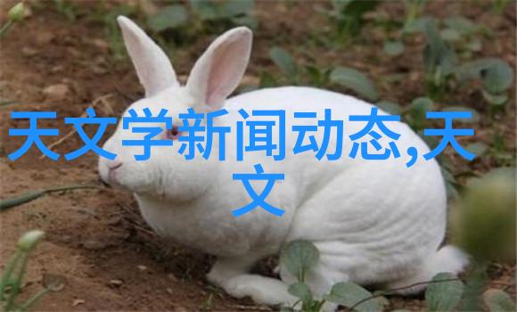 精确测量水分含量水份测定仪在食品安全检测中的应用与技术进展