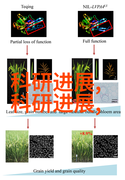 老农民未删减版我爸爸的故事从种地到养蚕的岁月