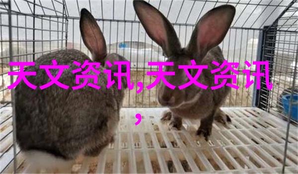 小型除尘器我的室内清洁好帮手