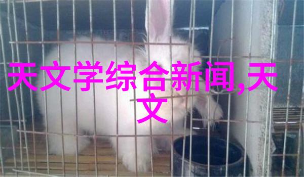 环保陶瓷化工填料在建筑材料中的应用