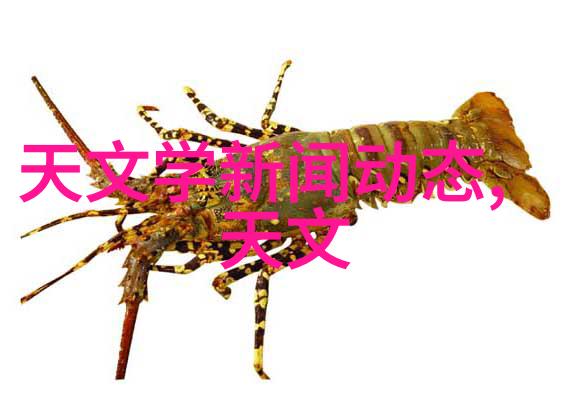 个人专利申请指南如何一步步获取你的创新权益