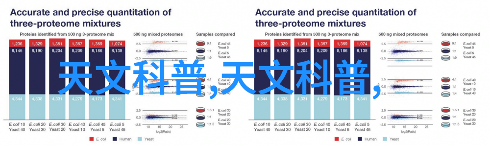 金银花露林慕的秘密花园探索乐可的心灵世界