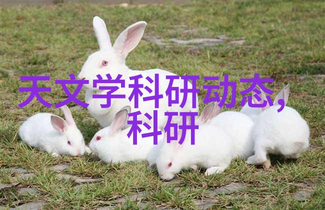 居住梦工厂揭秘125平米房子装修预算大揭秘