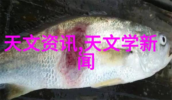 新品种桃苗绿色未来之树