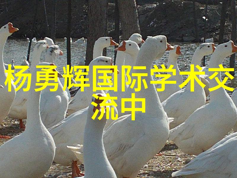 深渊中的秘密PVC下水道管件图片大全之谜