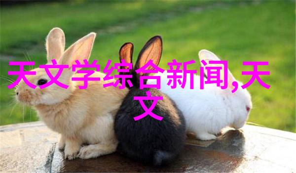 虚空之谜星际穿越与地下迷宫