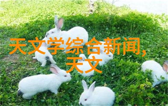 电蒸汽发生器驱动未来科技的温暖源泉