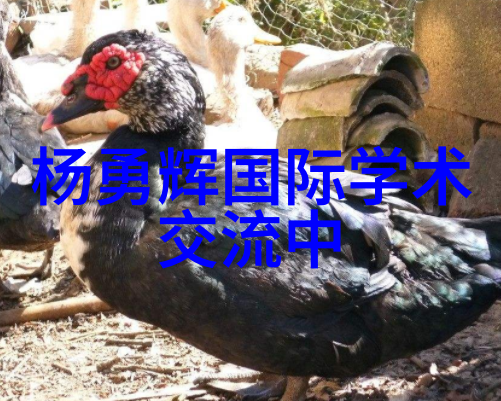 江苏海事职业技术学院的未来是怎样的