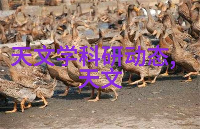 家居装修-新中式风格的温馨家居创意设计与美丽效果