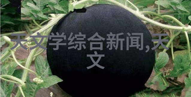 电热蒸汽发生器高效可靠的工业蒸汽源