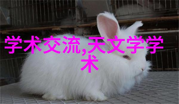 德爱威智慧的羽翼下