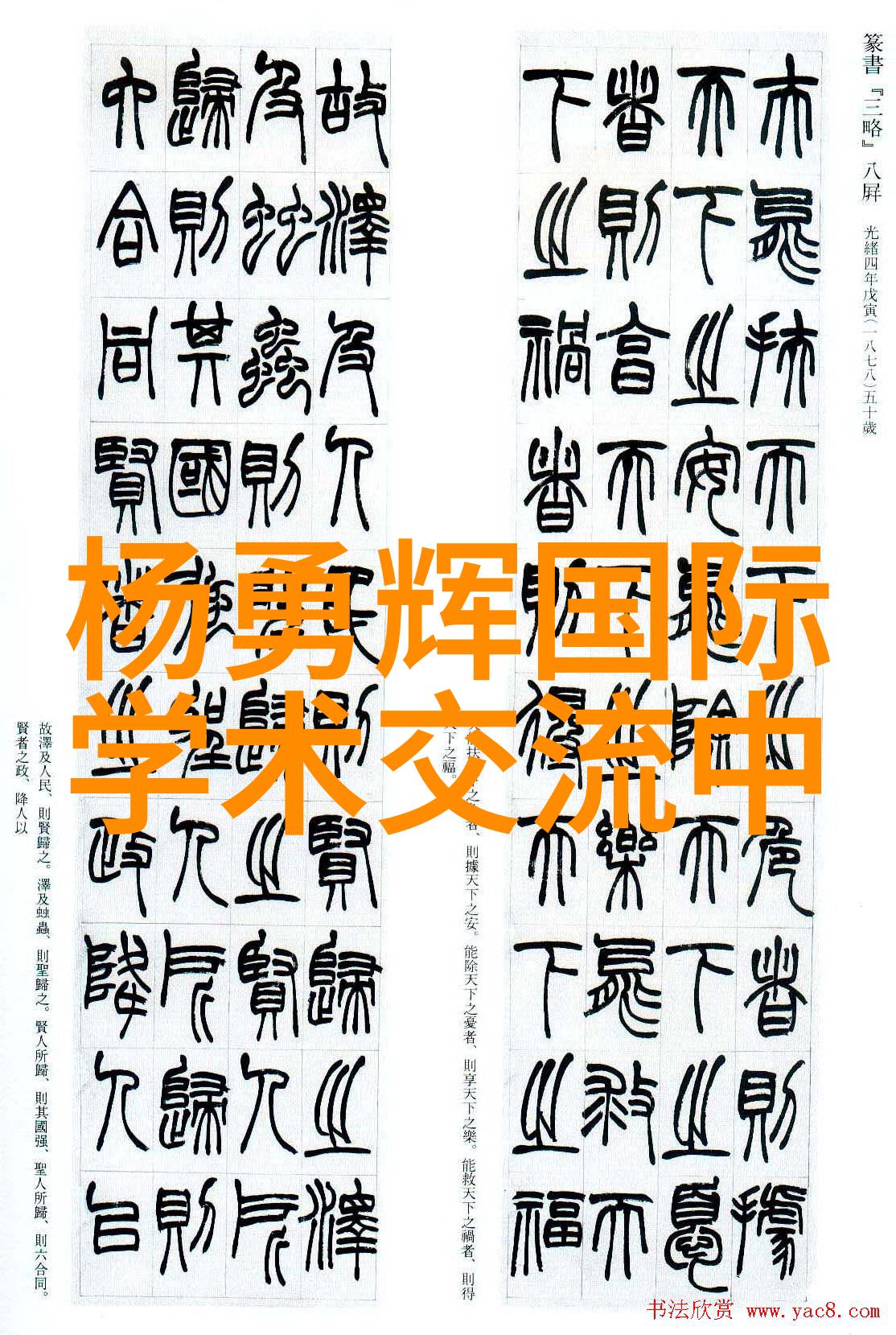 imtp填料解密数字营销中的关键元素与应用实例